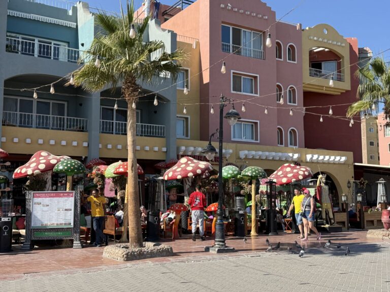 restauracje
