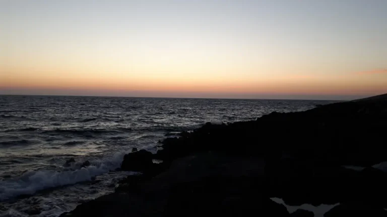 porto Roxa 4