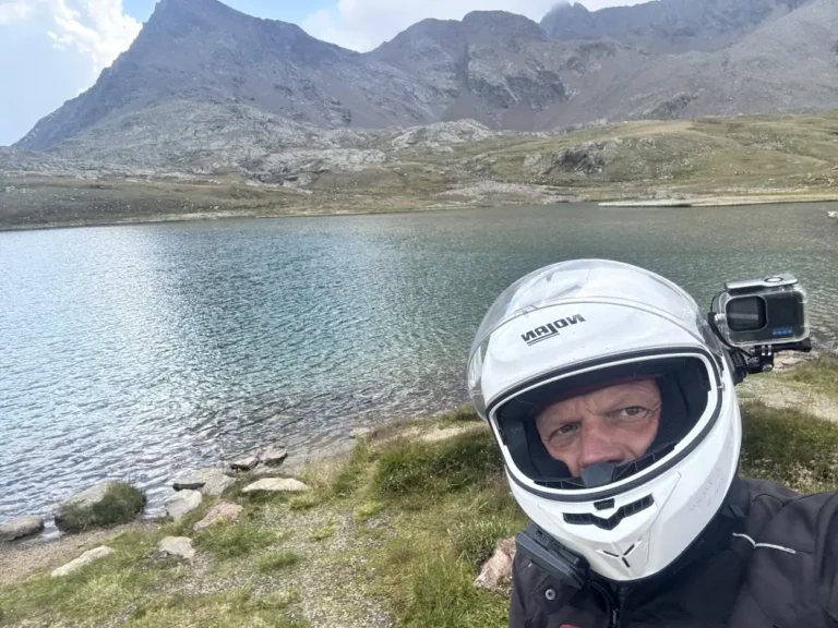 Gavia