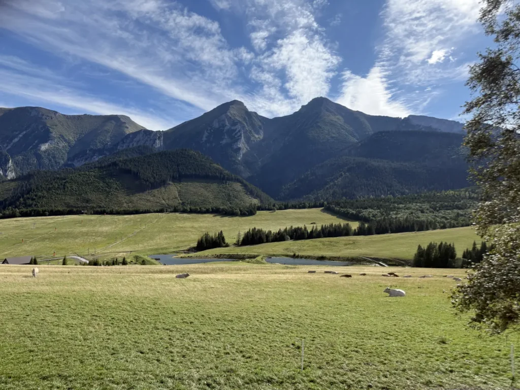 widok na Tatry